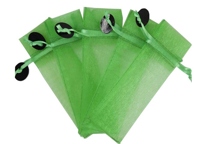 candy gift bag